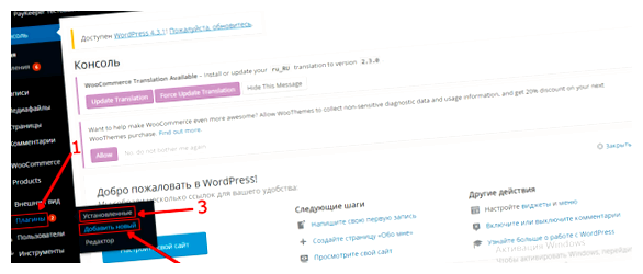 Можно ли оплатить WordPress из России дебетную или кредитную карту