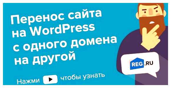 Сколько стоит домен на WordPress WordPress          могут