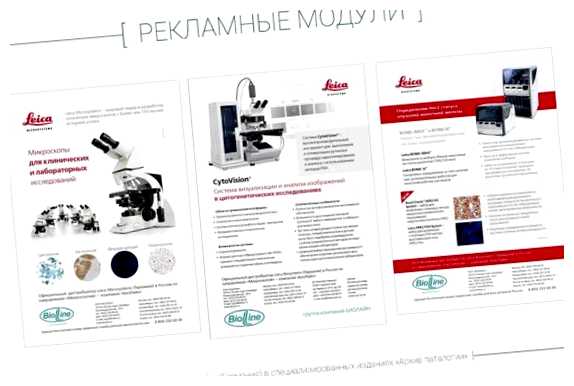 Сколько стоят услуги верстальщика Юго-Восточной Азии или